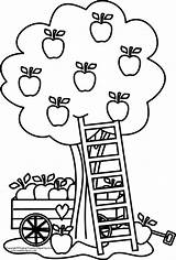 Coloring Apple Tree Pages Clipart Printable Basket Kids Clip Fall Color Print Fruit Library Picking Online Cliparts Colouring Trees Sheets sketch template