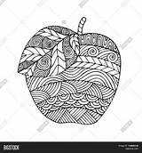 Adult Coloring Book Apple sketch template