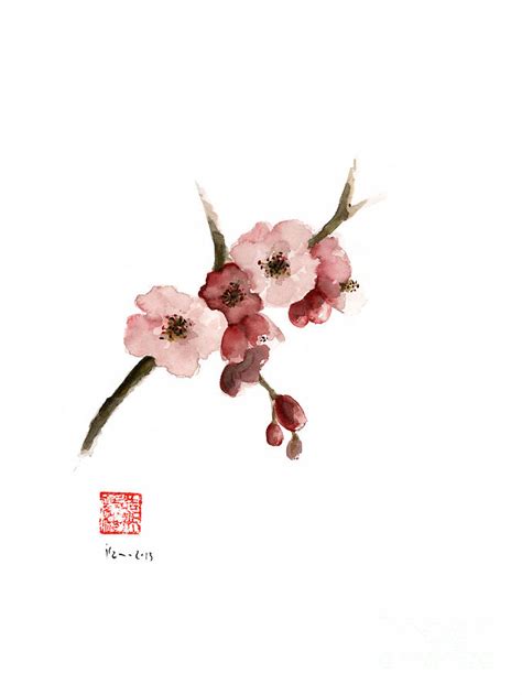 Cherry Blossom Sakura Pink Tree Delicate White Flower