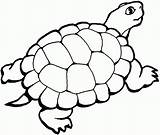 Tortue Mewarnai Hewan Darat Sketsa Binatang Tortoise Gambarcoloring Berkaki Kumpulan Lengkap Clipartmag Amfibi Empat Catégorie Cute sketch template