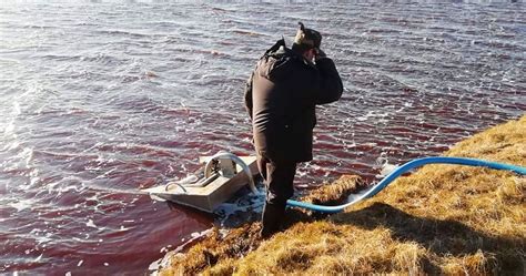 arctic circle oil spill creates state of emergency in russia