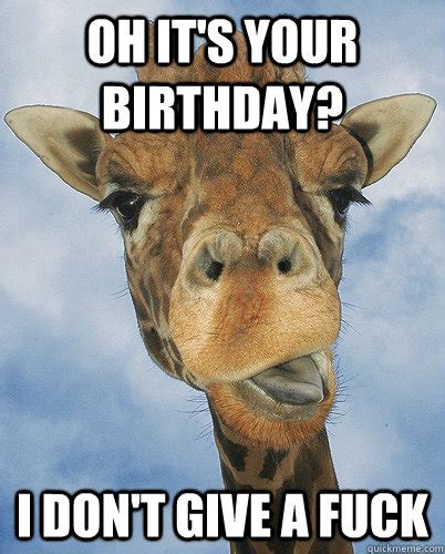 oh it s your birthday i don t give a fuck bad sarcasm giraffe quickmeme