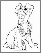 Coloring Lei Dog Hawaiian Will Pup Smiling Dogs Enjoy Printable Children Happy They sketch template