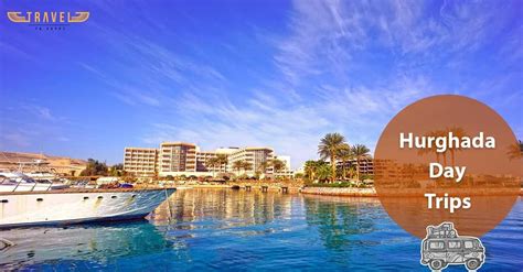 easy  quick booking process private transfers   wifi   hurghada day trips