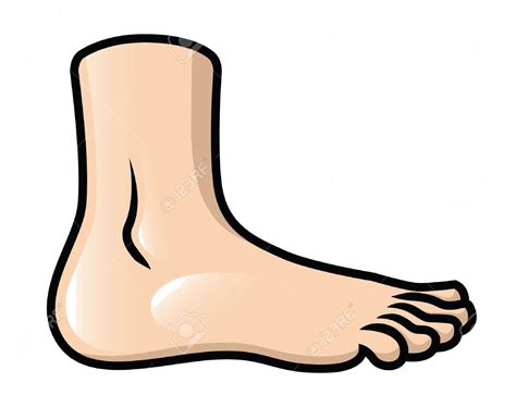foot clipart body part foot body part transparent