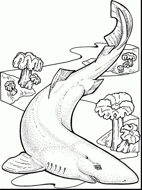 ocean floor coloring pages coloring pages