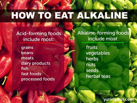 Yuri Elkaim How And Why You Want To Eat An Alkaline Diet