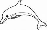 Dolphin Coloring Wecoloringpage Pages sketch template