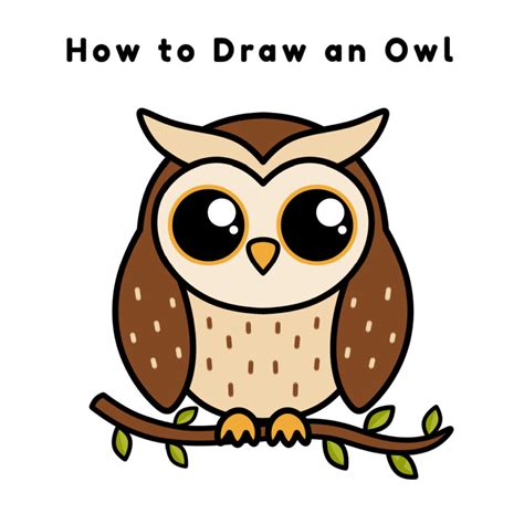 draw  owl