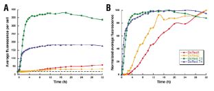rapidly maturing variants   discosoma red fluorescent protein dsred nature biotechnology
