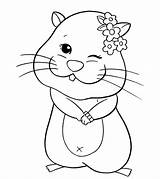 Hamster Coloring Pages Printable Color Momjunction sketch template