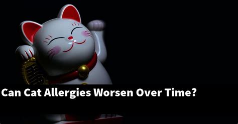 cat allergies worsen  time catstopics