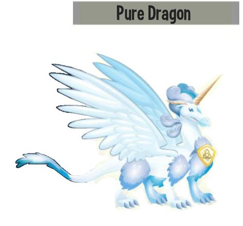 pure dragons dragon city players