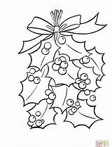 Coloring Pages Mistletoe Holly Christmas Leaves Berries Red Bright Printable Drawing Cartoon Xmas Kids Quotes Getcolorings Color Luxury sketch template