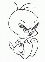 Tweety Coloriages sketch template