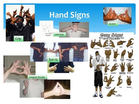 gangs bullying  violence powerpoint  id