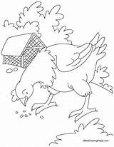 Hen Coloring Pages Red Little Grain Give Gain Egg Grains Kids Bestcoloringpages Color Printable Getcolorings Printables Getdrawings นท จาก Popular sketch template