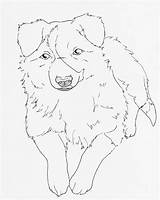 Collie Border Coloring Outline Outlines Pages Line Deviantart Cliparts Little Clipart Drawings Designlooter Library 96kb Favorites Add sketch template