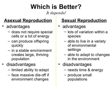 Asexual Vs Sexual Reproduction