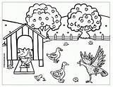 Coloring Red Hen Pages Little Printable Turkey Animals Henhouse Poule La Sheet Library Clipart Colouring Popular Story Coloriage sketch template