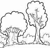 Bosques Dibujos Kleurplaat Fina Grossa Boom Bomen Bos Aprender Rvores Zoeken sketch template