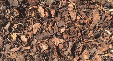 ornamental bark top quality bark chippings ashville aggregates