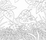 Mushrooms Glade Thick Forest sketch template