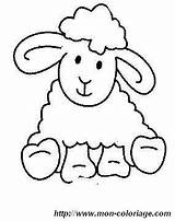 Ovejas Oveja Pintar Colorat Schaf Oi Mewarnai Domba Animale Baranek Pecora Planse P01 Mouton Kopf Paud Wielkanoc Obejas Desene Schafe sketch template