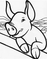 Farm Coloring Pig Animals Kids sketch template