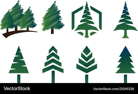 collection  pine tree logo template royalty  vector
