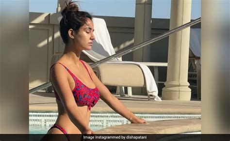 can t take our eyes off disha patani in this stunning pic