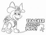 Patrol Paw Tracker Pups Colouring Pobarvanke Scribblefun Rubble sketch template