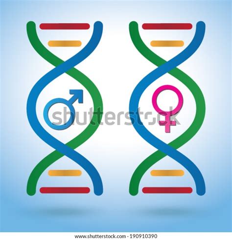 male female sex symbols dna depicting stock vector royalty free 190910390