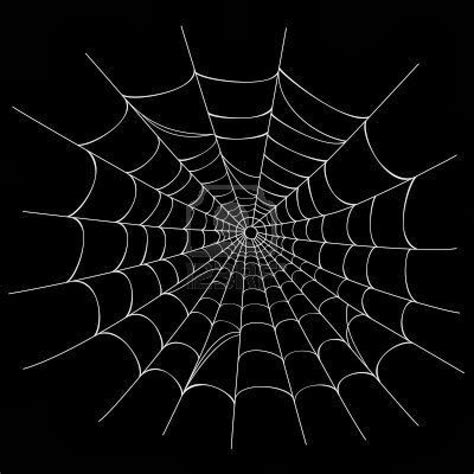 vermont dead  spider web farm williamstown vermont