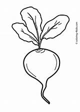 Vegetable Beet Coloring Drawing Pages Kids Vegetables Radish Printable Beetroot Clipart Beets Color Preschool Shopping Cart Outline Drawings Colouring Draw sketch template