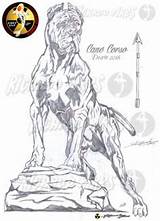 Corso Cane Dog Drawings Pages Colouring sketch template