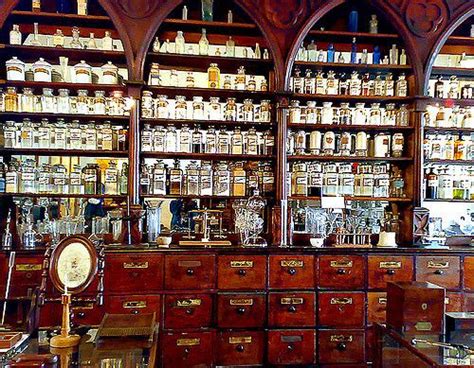 apothecarys apothecary herbalism herbal apothecary