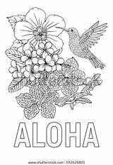 Aloha Hummingbird Hibiscus sketch template