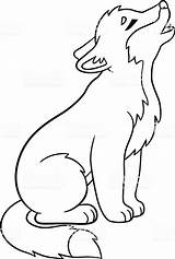Wolf Coloring Drawing Pages Cute Howling Baby Easy Drawings Animal Anime Little Kids Clipart Outline Howls Vector Head Illustration Stock sketch template