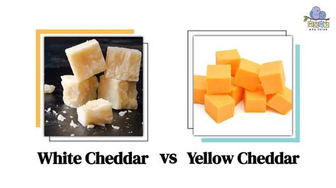 white cheddar  yellow cheddar    taste difference
