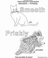 Coloring Smooth Book Opposites Designlooter Animal Enchanted Learning Search Prickly Enchantedlearning sketch template