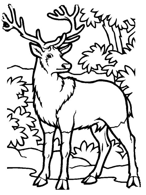 simple elk coloring pages