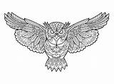 Kleurplaat Uil Hibou Volwassenen Kleurplaten Kolorowanka Kolorowanki Coloriage Sowa Mandalas Zentangle Boek Antystresowe Eule Stockvector Sowy Obrazy Owls Adultes Zapytania sketch template