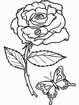 Coloring Pages Printable Rose sketch template