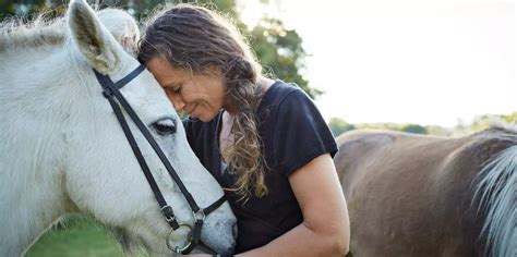 equine assisted therapy  horses     mental