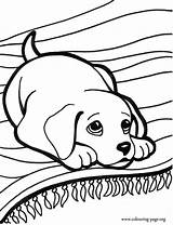 Coloring Pages Dog Getdrawings Easy Puppy sketch template