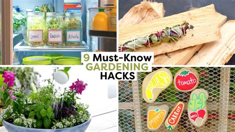 9 clever gardening hacks you need to know diy gardening hacks youtube