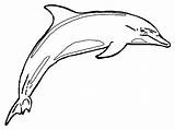Dolphin Kids Coloring Dolphins Pages Realistic Library Clipart sketch template
