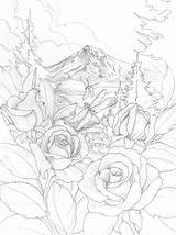 Coloring Pages Sketch Adult Colouring Drawings Sketches Bergsma Printable Drawing Roses Book Adults Sheets Print Color Line Colorful Books Prints sketch template