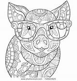 Coloring Pig Pages Cute Piggy Pigs Adults Kids Guinea Printable Beautiful Getcolorings Getdrawings Template Color Comments Colorings sketch template